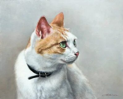 Галерея кошек