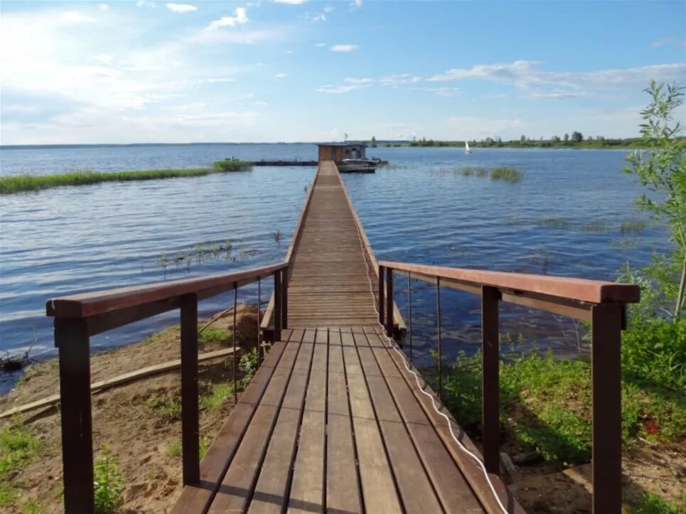 Погода в противье весьегонский район. Противье Рыбинское водохранилище. Деревня Противье Рыбинское водохранилище. Деревня Противье Тверской области. Заповедное Устье Противье.