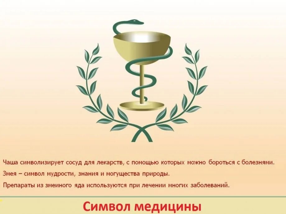 Чаша со змеёй Асклепий символ медицины. Символ медицины змея обвивающая чашу. Чаша Асклепия. Чаша Гигеи символ медицины.