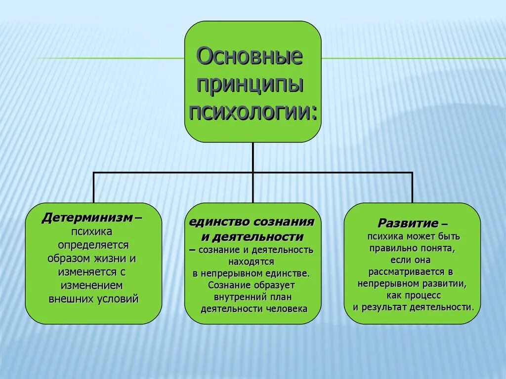 Сознание является результатом деятельности. Принципы психологии. Принцип детерминизма в психологии единства сознания и деятельности. Принцип детерминизма в психологии. Сознание и деятельность.