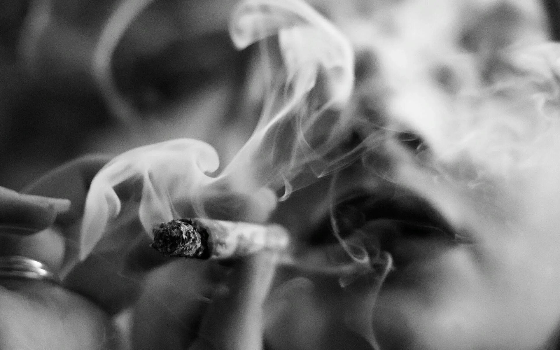Сигаретный дым дорогой коньяк песня. Дым сигарет. Курение фон. Красивая девушка с сигаретой. Едкий дым.