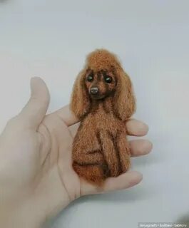 Пудель в руки