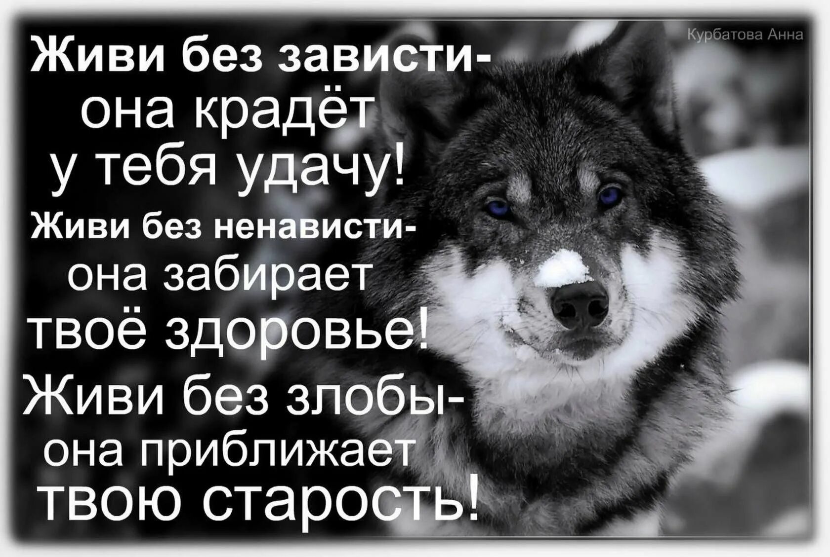 В лихости и зависти нет ни