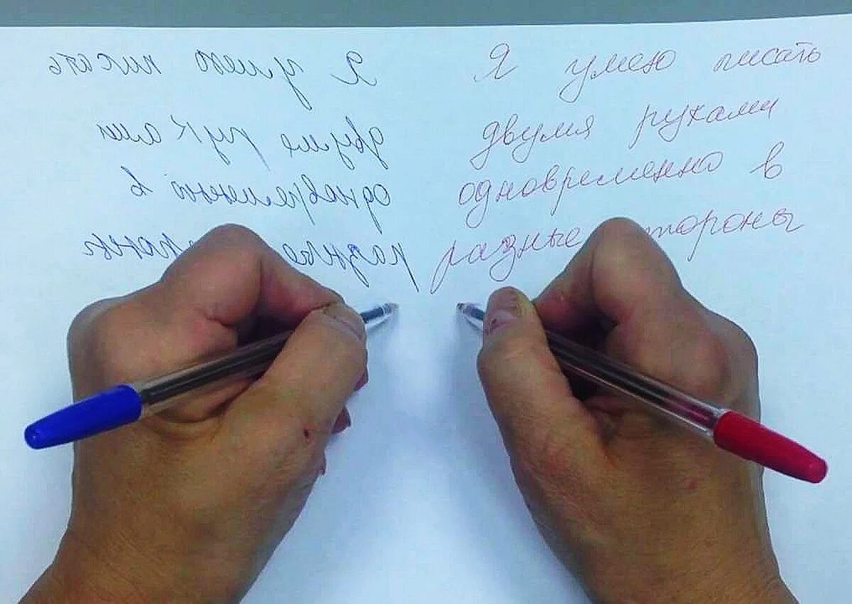 Написала 2