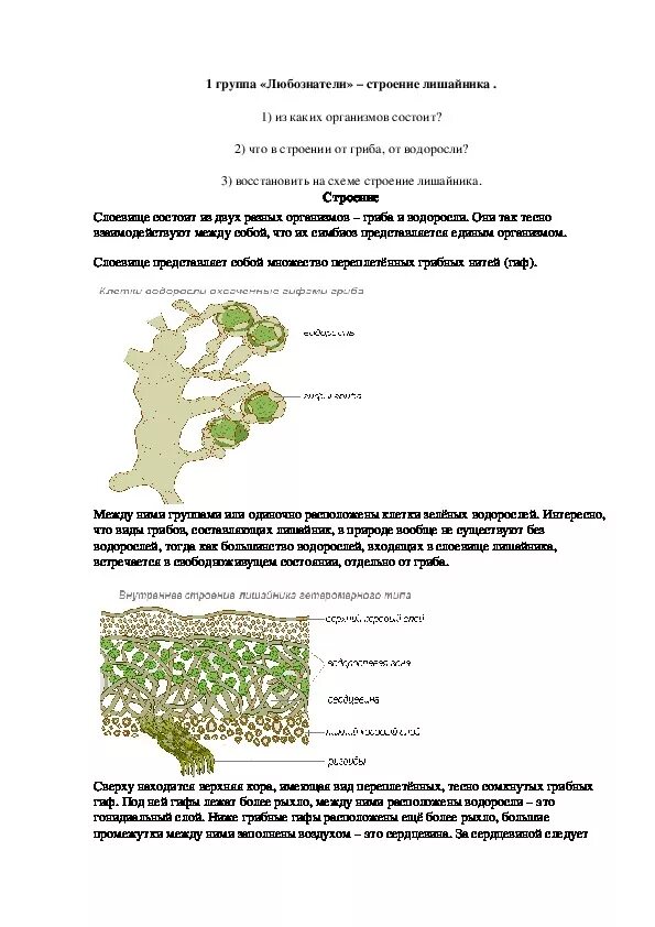 Лишайники 5 класс биология. По биологии 5 класс. Тема: лишайники. Тема лишайники 5 класс биология. Лишайники биология Сивоглазов 5 класс.