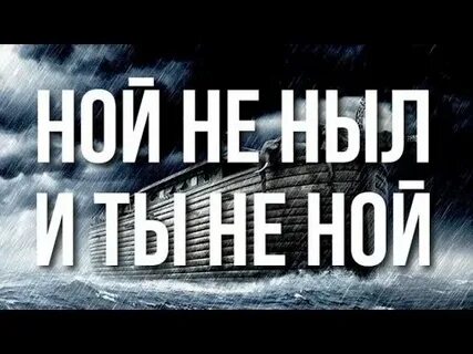 Ноя ти