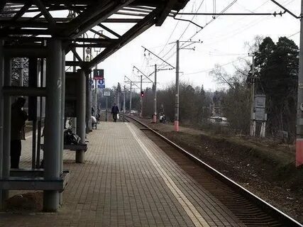 Морозки дегунино