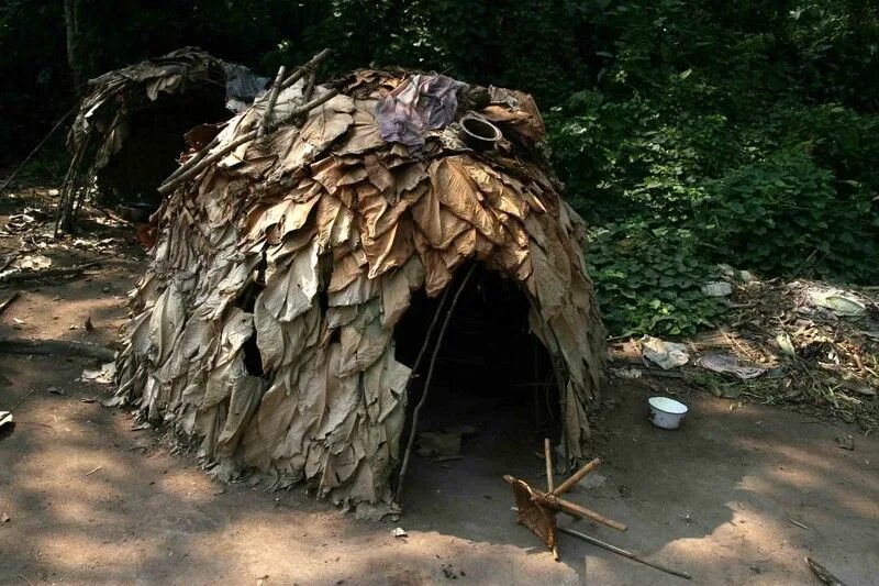 Укрытие в лесу. Бушкрафт хижины. Шалаш в лесу. Краш шалаш нижневартовск. Дети строят шалаш.