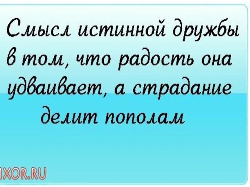 Смысл истинной дружбы в том что. Смысл истинной дружбы в том что радость она. Философия дружбы. Истинная Дружба цитаты.