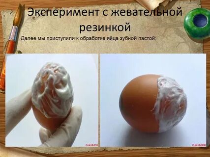 Опыты с жевательной резинкой