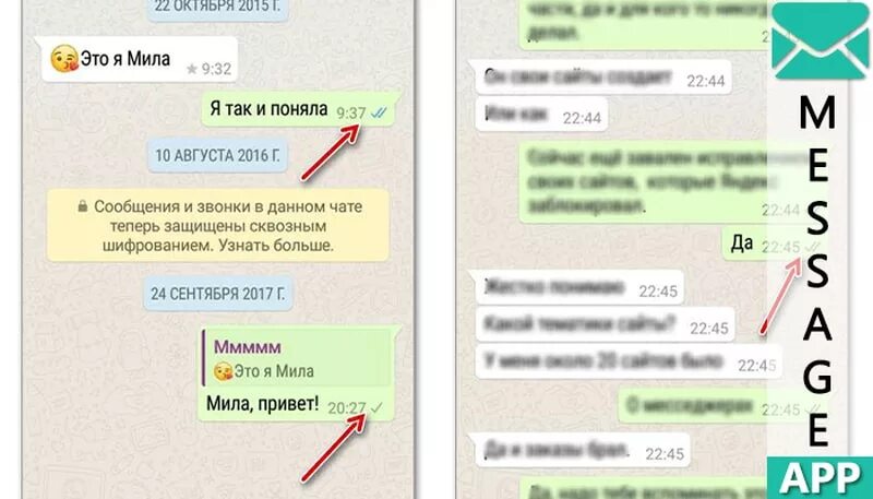 Как читать чужие сообщения в ватсап. Прочитанные сообщения в WHATSAPP. Прочитанное сообщение в ватсапе. Как понять что сообщение в ватсапе прочитано. Как поеять что СММ прочитана.