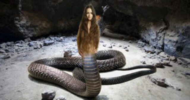 Люди превращаются в змей. Женщина превращается в змею.