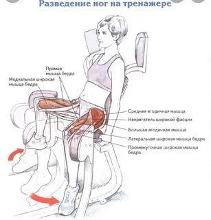 Сведение ног в тренажере какие