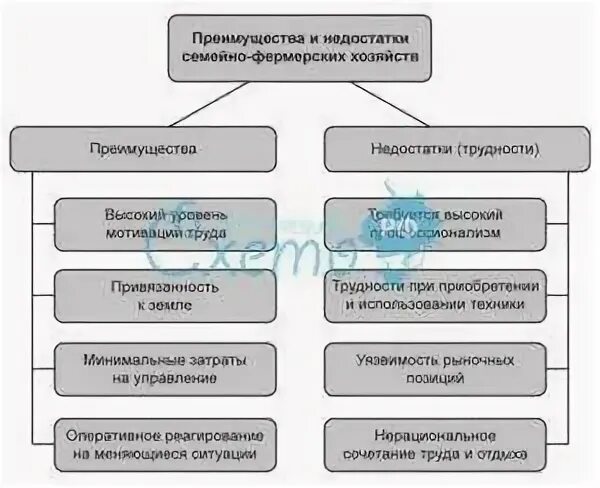 Кфх плюсы и минусы