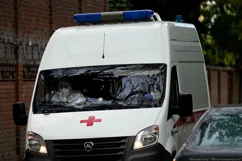 Калининград заболеваемость