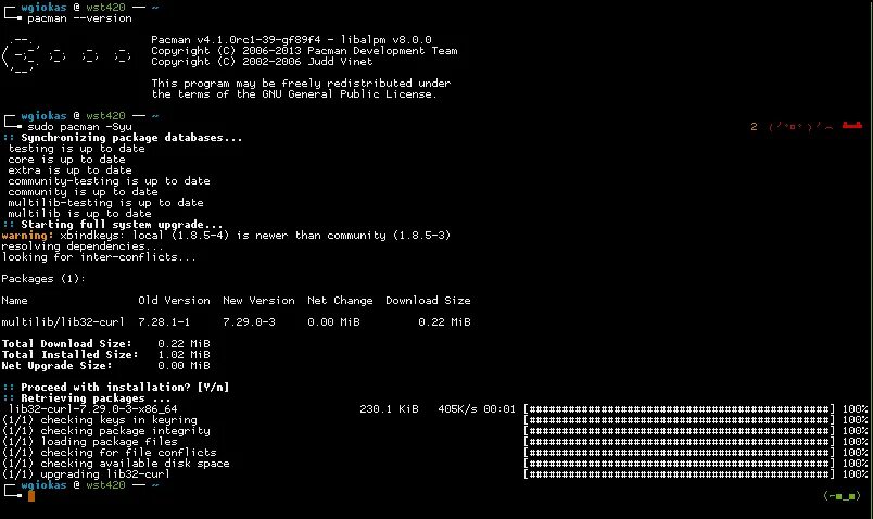 Sudo pacman. Pacman archlinux. Pacman (система управления пакетами). База данных Pacman. Пакман на линуксе.