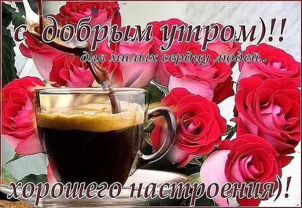 Хорошего дня лена
