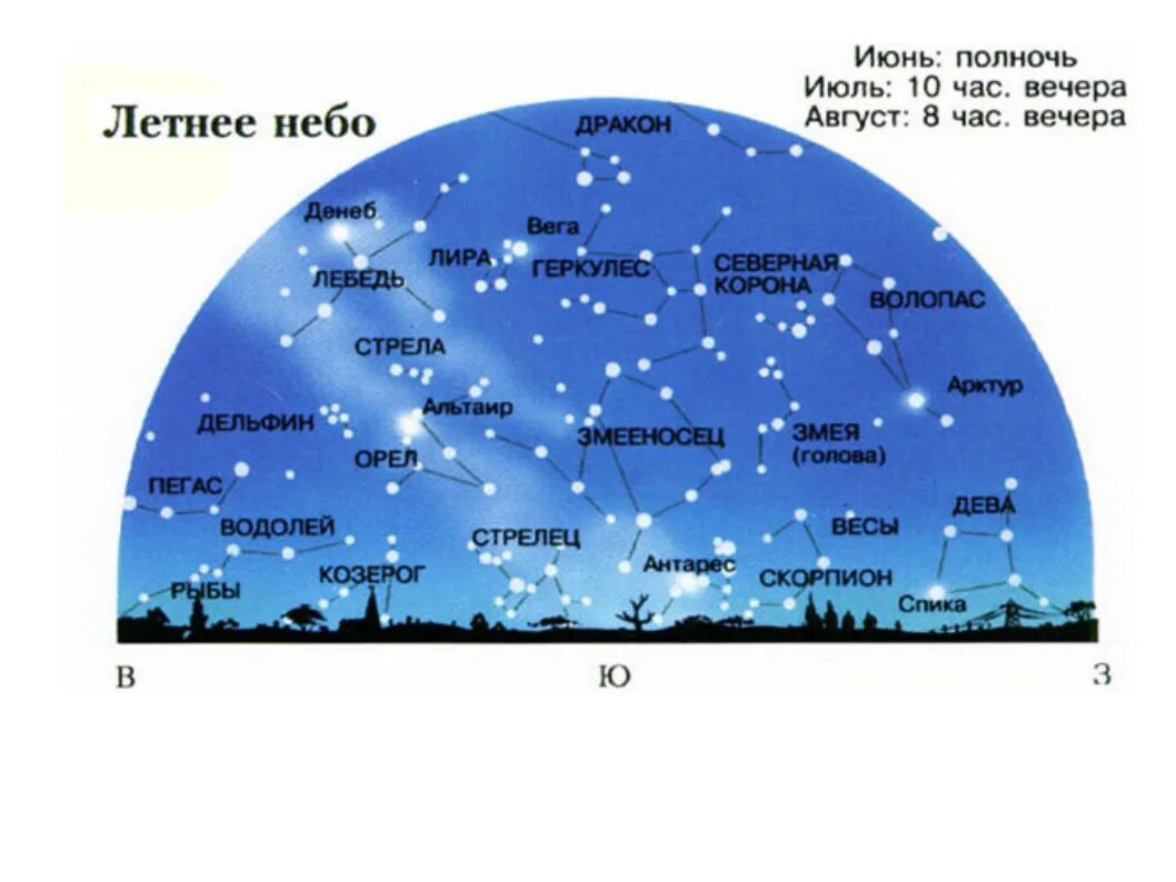 Звездное небо какие созвездия. Созвездия летнего неба. Созвездия зимнего неба. Расположение созвездий на небе. Летнее звездное небо созвездия.