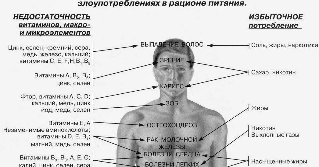 Можно ли человека хватать