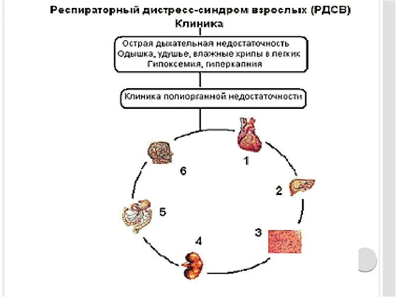 Ордс крипта
