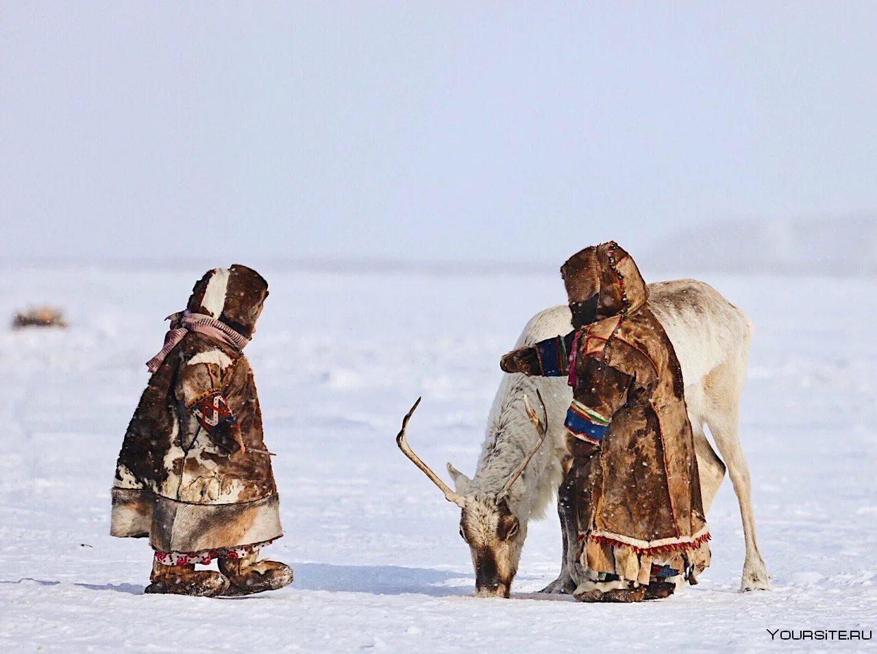 Шаманы ханты и манси. Чукчи алеуты. Дючеры народ приамурья. Чукчи презентация для детей. Представление чукчи.