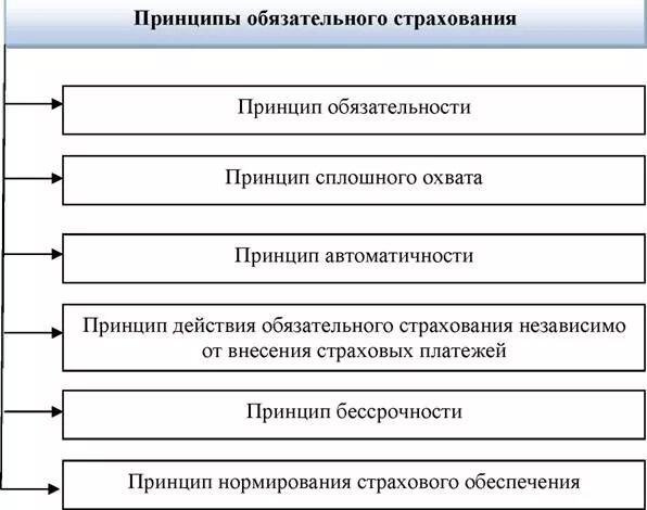 Принципами социального страхования являются. Принципы обязательного страхования. Принципы системы социального страхования РФ. Схема принципы обязательного социального страхования. Принципы осуществления страхования в РФ.