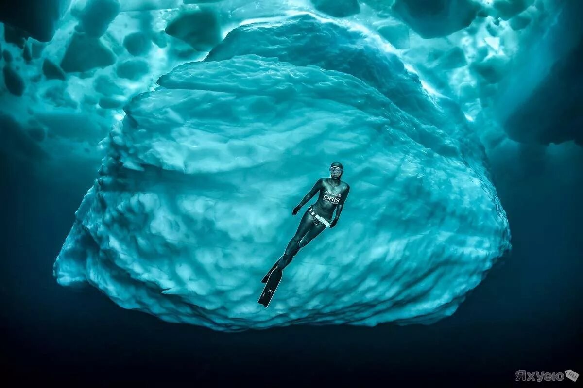 Погружение в воду. Океаны. Подо мною плыли. Подледный дайвинг на байкале. Девушка в воде.
