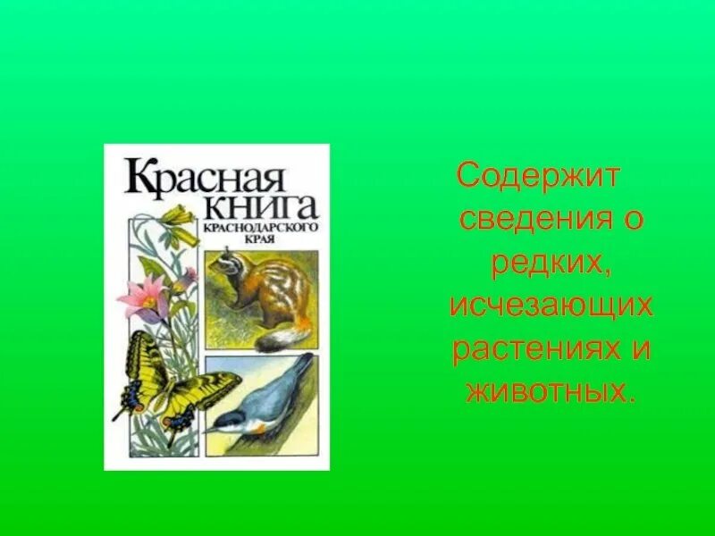 Животные красной книги краснодарского края. Красная книга Кубани животных. Красная книга Краснодарского. Животные из красной книги Краснодарского края. Книгу Краснодарского края животные красная книга.