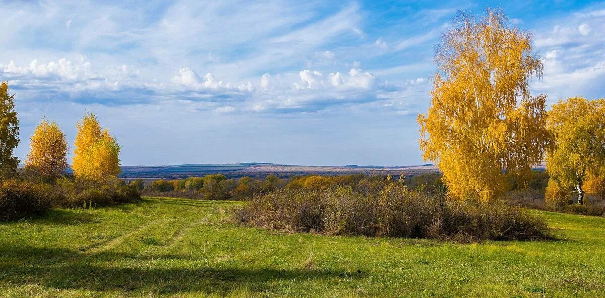 Ясно золотистый. Ясный осенний день. Солнечный осенний денек. Осень Ясный день. Солнечный осенний Ясный день.