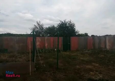 Погода в мужичьем воробьевском