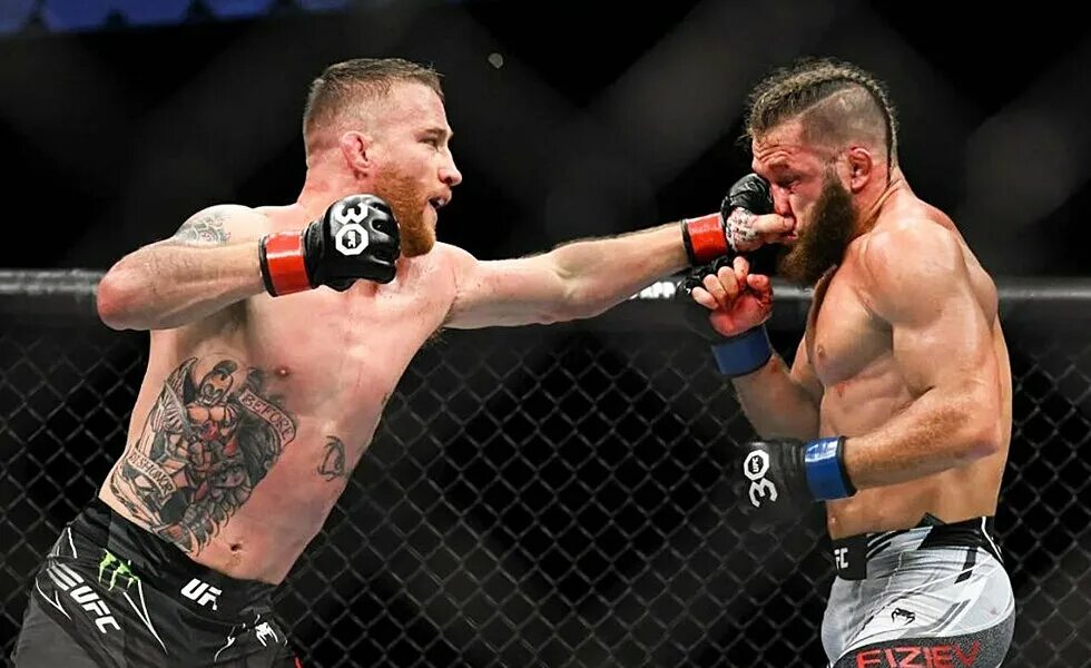 Дата боев ufc