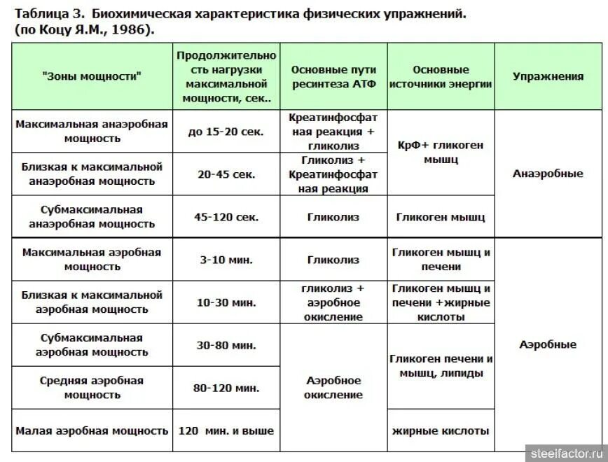 Пример анаэробного может быть бег на Тренировочные нагрузки по энергетическим системам CMT Научный подход