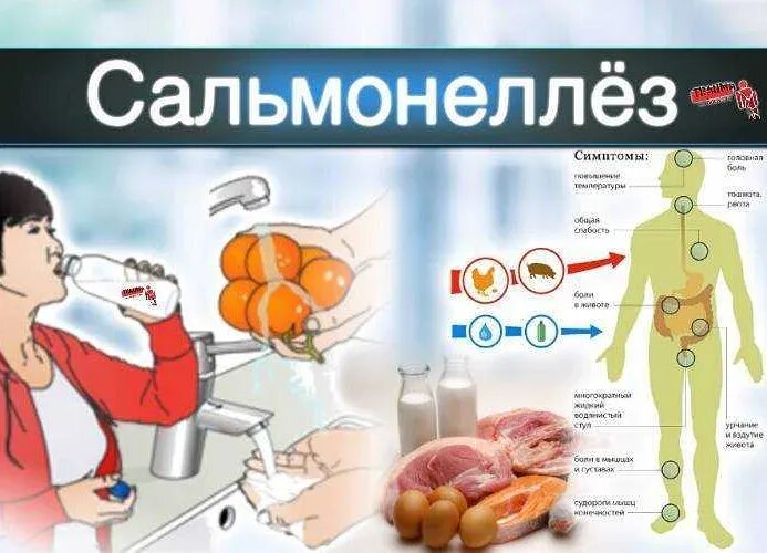 Симптомы сальмонеллеза. Сальмонеллез проявление болезни. Профилактика сальмонеллеза. Сальмонеллез у взрослых. Сальмонеллез клинические проявления.