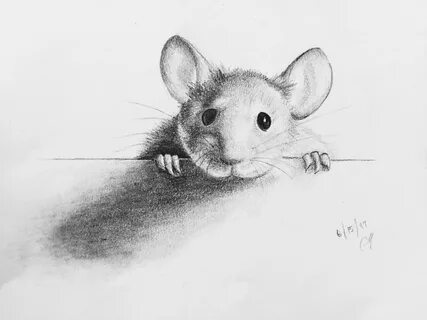 Картинка мыши рисованные