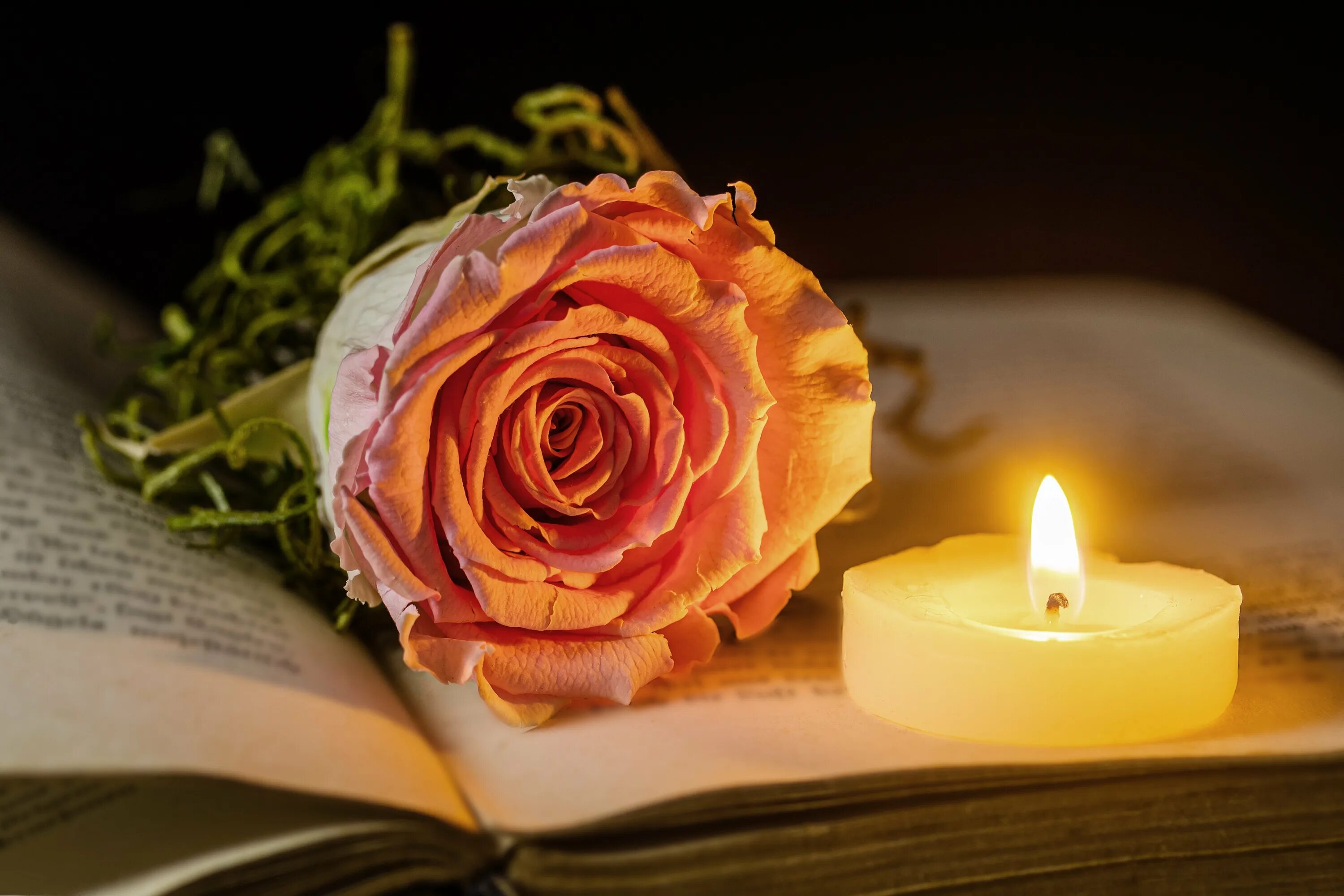 Красивая память. Свечи и цветы. Розы и свечи. Книга и свеча. Цветы памяти.