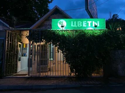 Дагомыс фестивальная