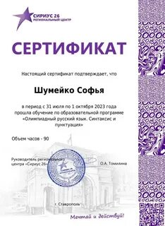 Региональный центр сириус 26