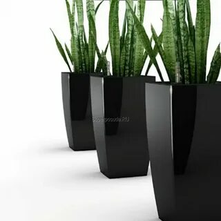 Sticker planter