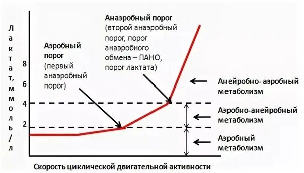 Порог аэробного и анаэробного обмена. Понятие аэробного и анаэробного порога. Аэробный порог как определить. Уровень лактата аэробного порога. Аэробный режим