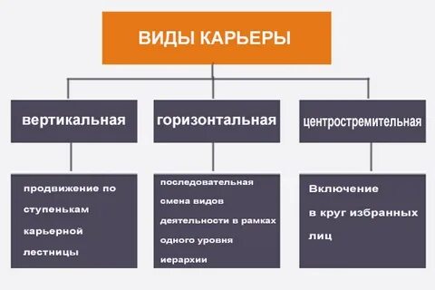 Какие виды карьеры