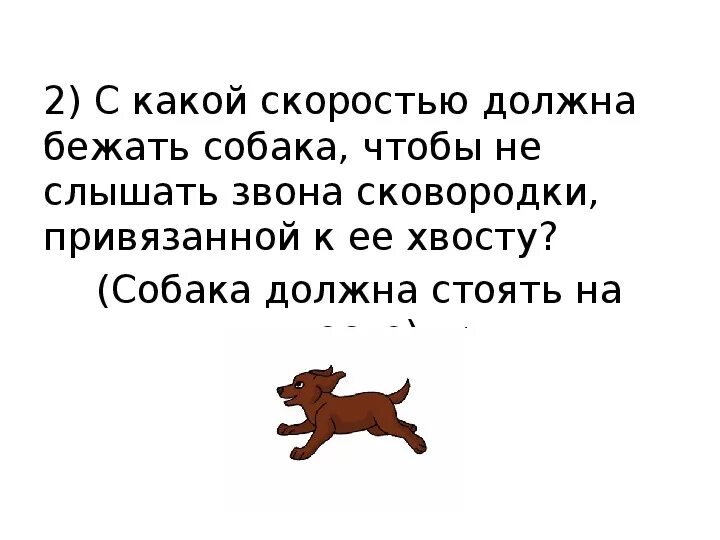 С какой скоростью бежит собака. С какой скоростью должна бежать собака. с какой скоростью должна бежать собака чтобы не слышать звона. собака с привязанной к хвосту сковородкой.