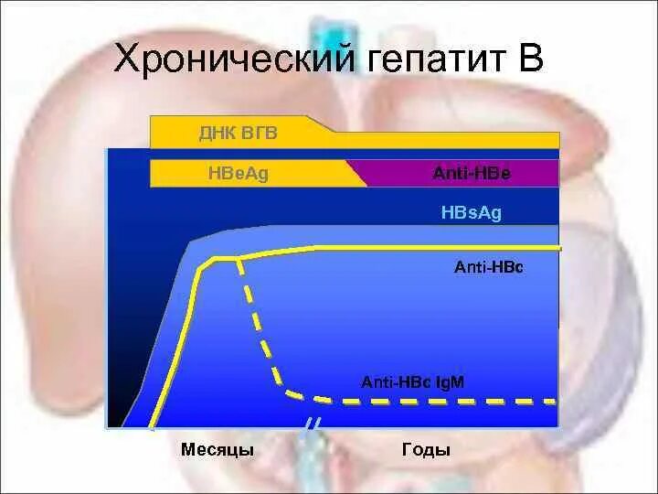 Гепатит в маркеры схема. Анти hbs гепатиты. Нормы антигена hbsag вируса гепатита в. Анти-hbe. Гепатит в антиген hbsag.