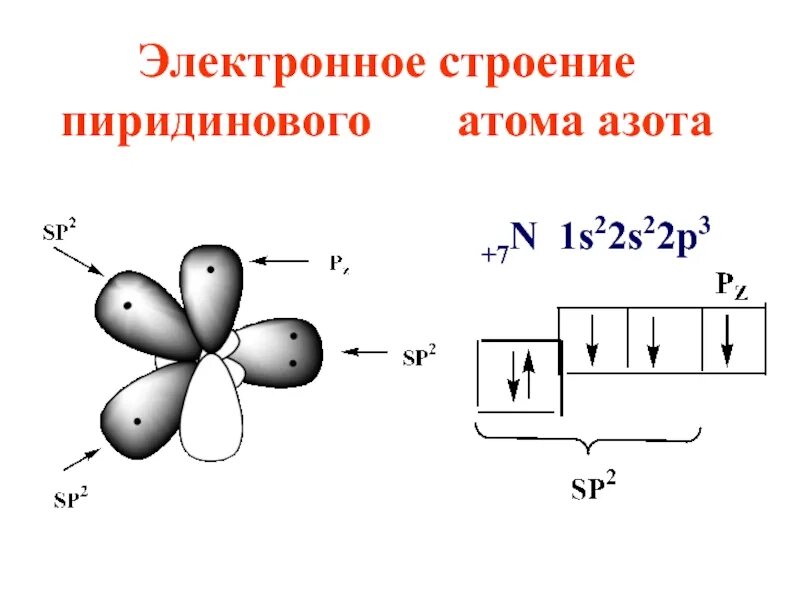 Электронное строение пиридинового атома азота. Электронное строение пиррольного и пиридинового атома азота. Схема перекрывания атомных орбиталей азота. Строение электронных орбиталей азота. Изобразите строение атома азота