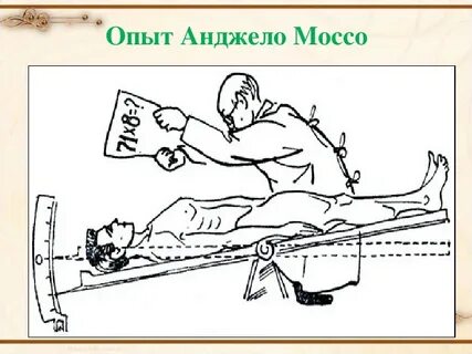 Горизонтальный опыт