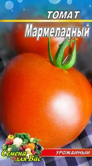 черри желтый финик томат. томат джало санта. томат желтый мармелад. томат мармеладный уральский дачник. томат мармеладный агрофирма марс.