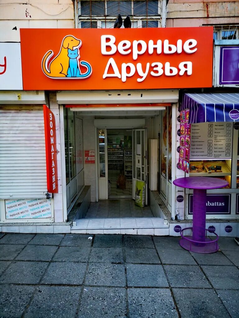 зоомагазин вход. верные друзья зоомагазин. верные друзья зоомагазин хабаровск. верные друзья зоомагазин. зоомагазин верные друзья.