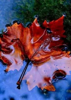Colors wet
