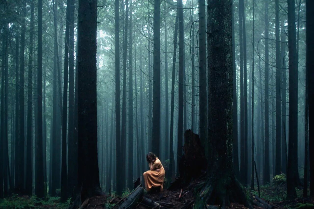 Спрят вшись в глубь леса. Elizabeth Gadd. Лес Триллемарка-Роллагсфьелл. Forest Elizabeth Gadd. Девушка в лесу.