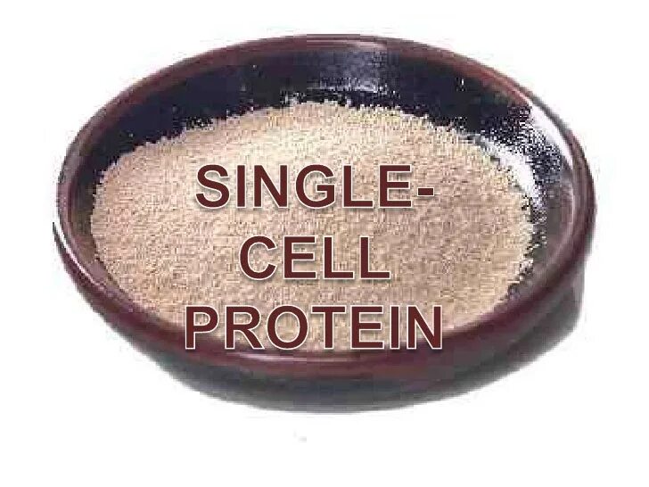 Single cell