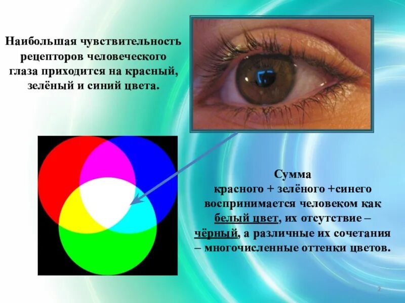 Какие цвета воспринимает глаз. Наибольшая чувствительность человеческого глаза. цвета которые не воспринимает человеческий глаз. какие основные цвета различает человеческий глаз. основные цвета воспринимаемые глазом человека.